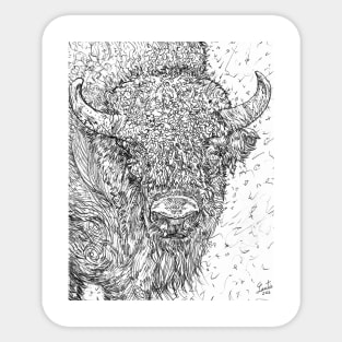 BISON - pencil portrait .1 Sticker